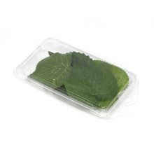 Customize Transparent Plastic Fresh Salad Storage Packaging Fruit Container Clamshell Serving Disposable Pet Fruit Tray